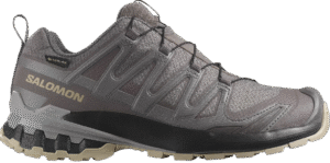 Salomon Xa Pro 3D V9 GTX dameswandelschoen